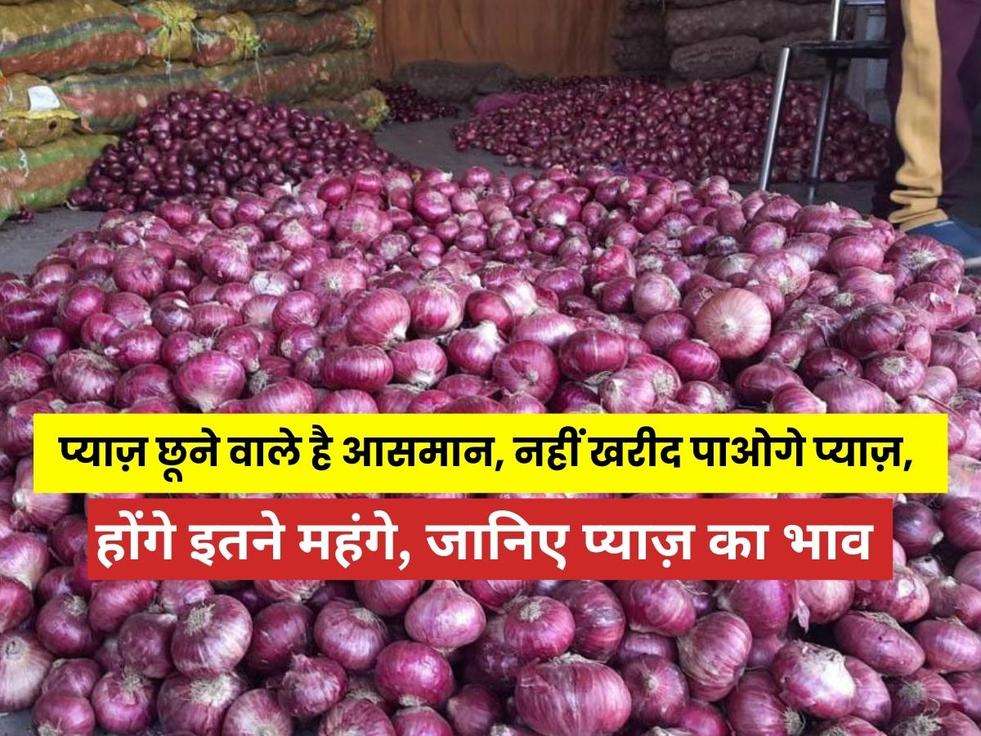 Onion Price Hike: प्याज़ छूने वाले है आसमान, नहीं खरीद पाओगे प्याज़, होंगे इतने महंगे, जानिए प्याज़ का भाव 