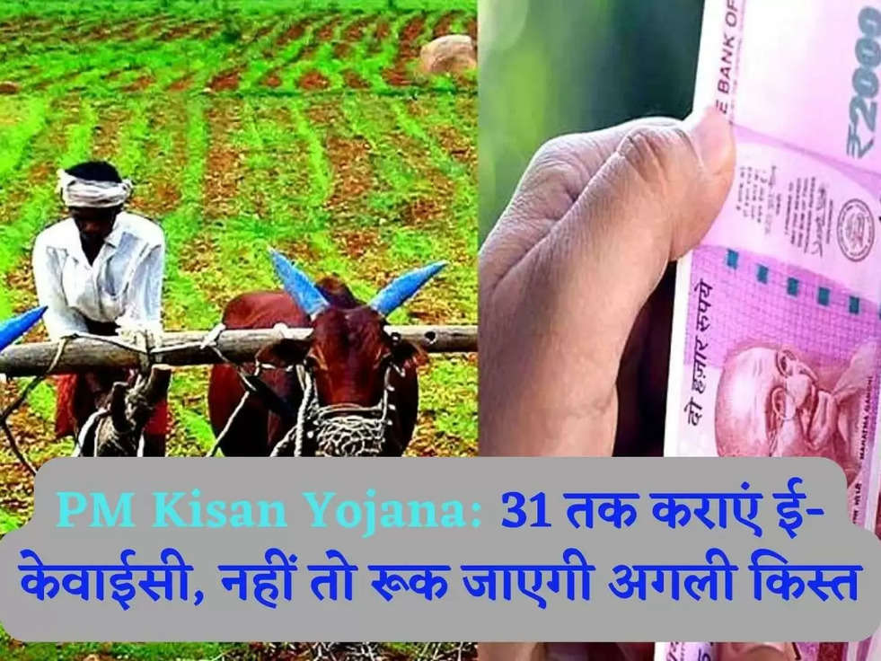 PM Kisan Yojana: 31 तक कराएं ई-केवाईसी, नहीं तो रूक जाएगी अगली किस्त