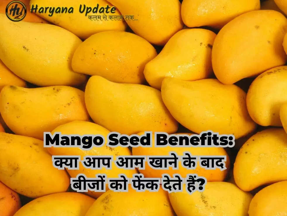 Mango Seed Benefits: क्या आप आम खाने के बाद बीजों को फेंक देते हैं?