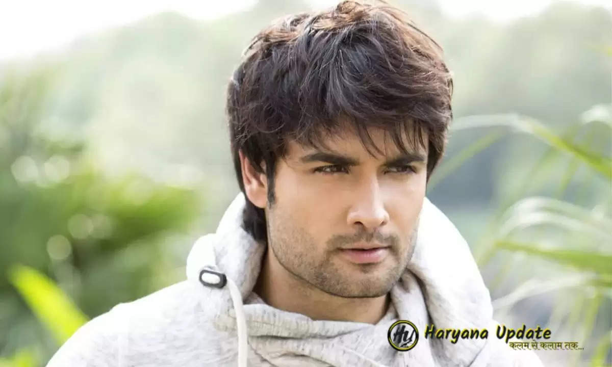 Vivian Dsena 