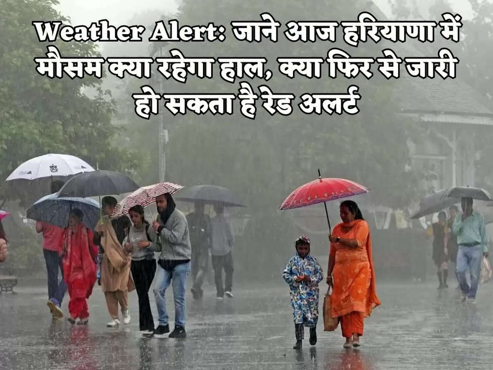 Weather Alert: जाने आज हरियाणा में मौसम क्या रहेगा हाल, क्या फिर से जारी हो सकता है रेड अलर्ट