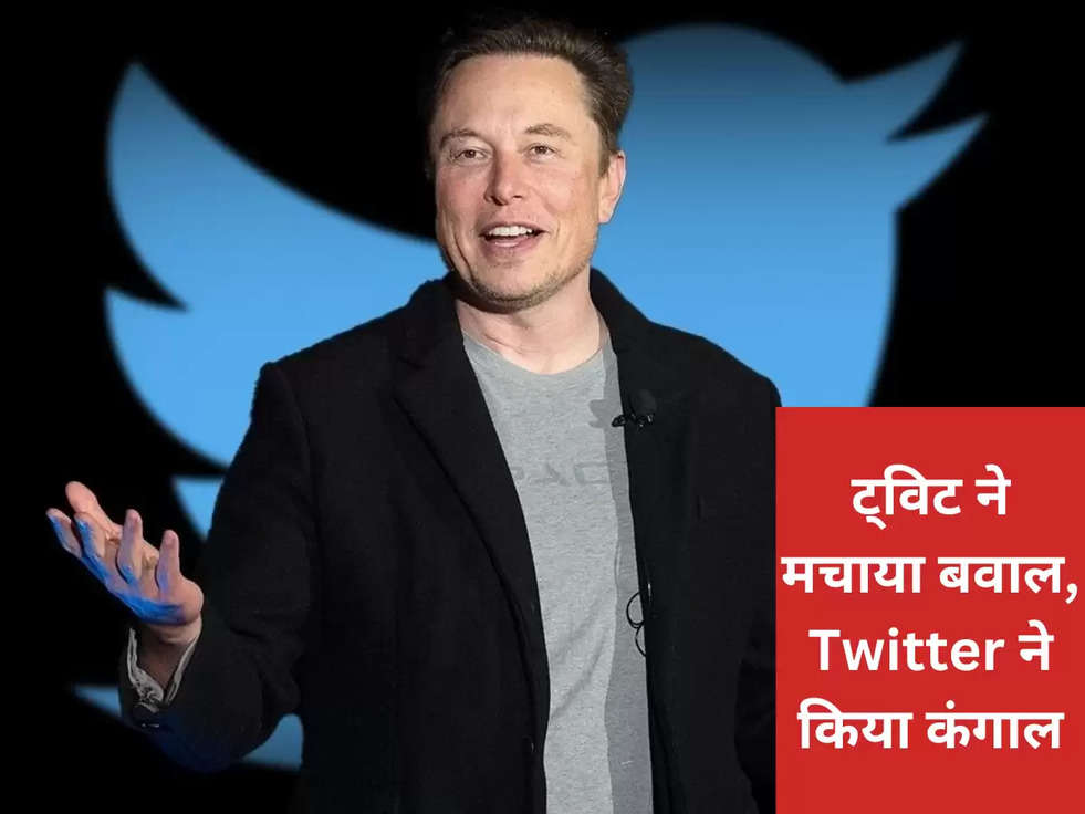 ट्विट ने मचाया बवाल, Twitter ने किया कंगाल