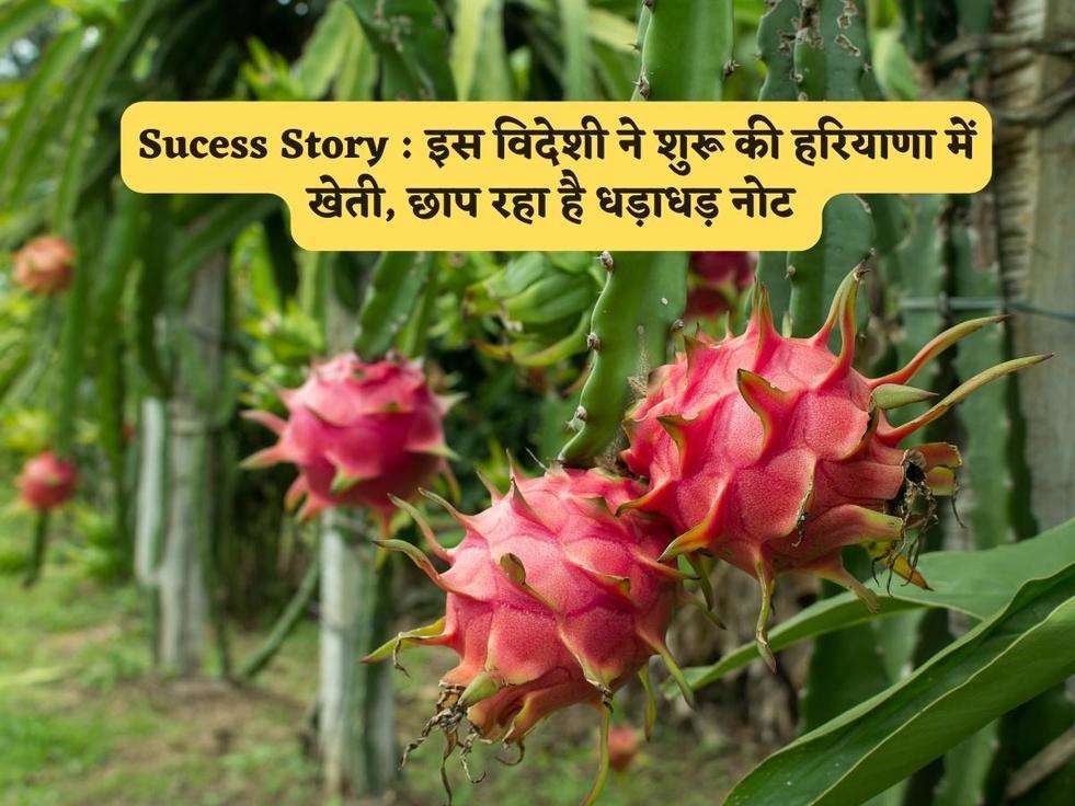 Sucess Story : इस विदेशी ने शुरू की हरियाणा में खेती, छाप रहा है धड़ाधड़ नोट 