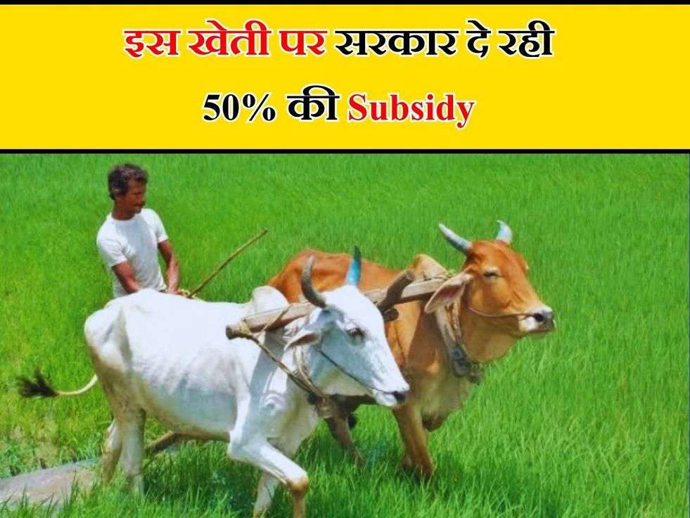 Farmers Scheme