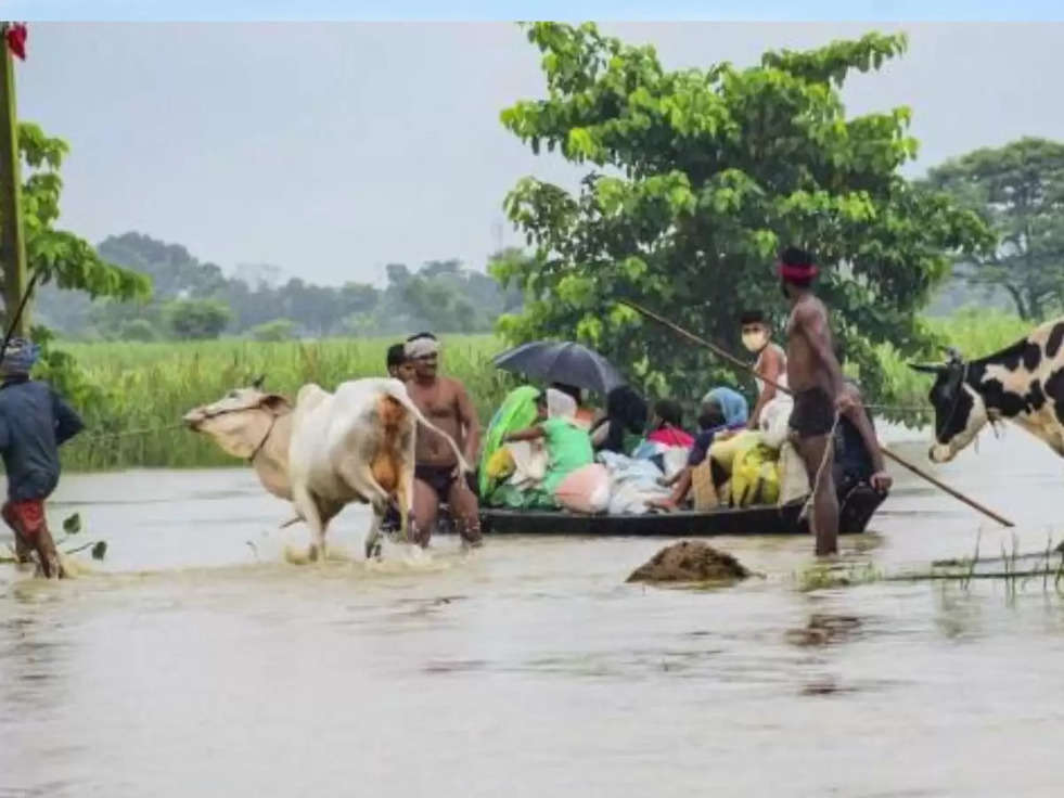 Farming in Flood: जानिए कोनसी  तकनीकें किसानों को बाढ़ग्रस्त इलाकों में दिला सकती हैं अच्छा मुनाफा 