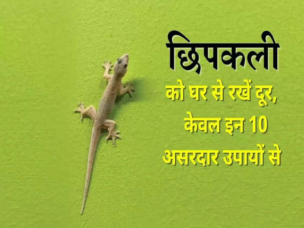 remedies for lizard