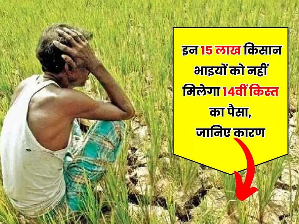 PM kisan: इन 15 लाख किसान भाइयों को नहीं मिलेगा 14वीं किस्त का पैसा, जानिए कारण 