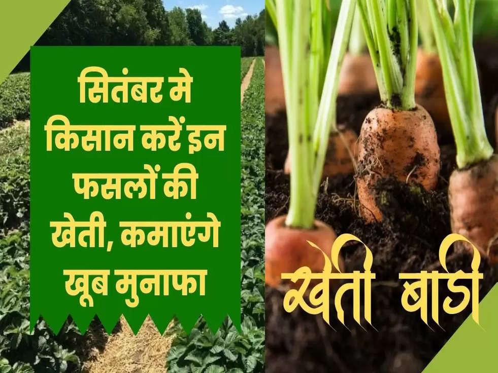 winter crops cultivation