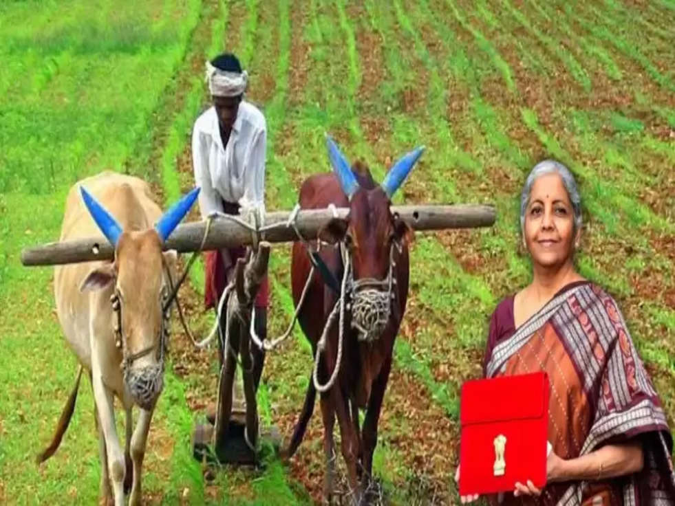 Agriculture Budget for Farmers: किसानों को बजट में मिल सकती है ये बड़ी सौगात