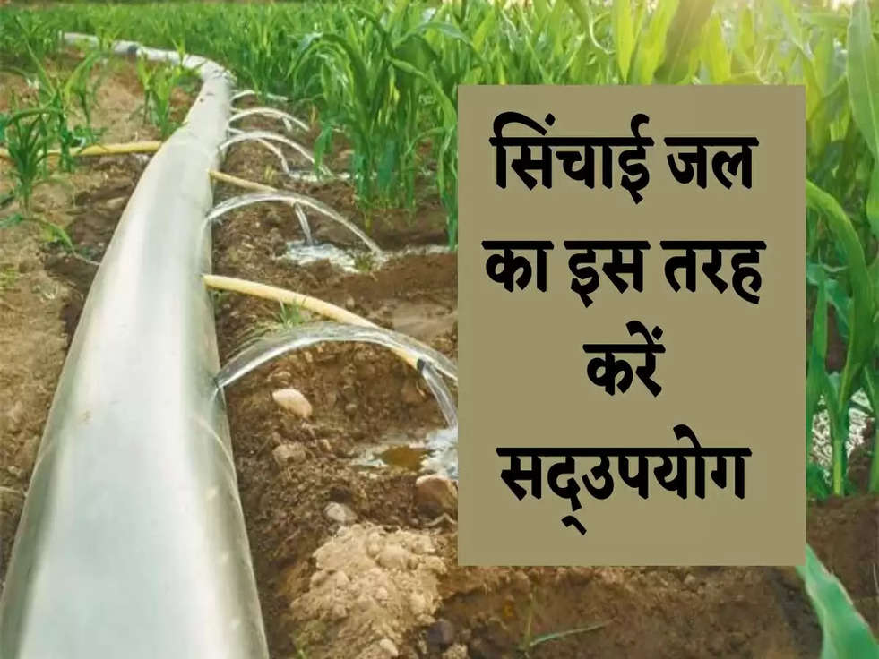 Farming Tips: सिंचाई जल का इस तरह करें सद्उपयोग, जानिए 