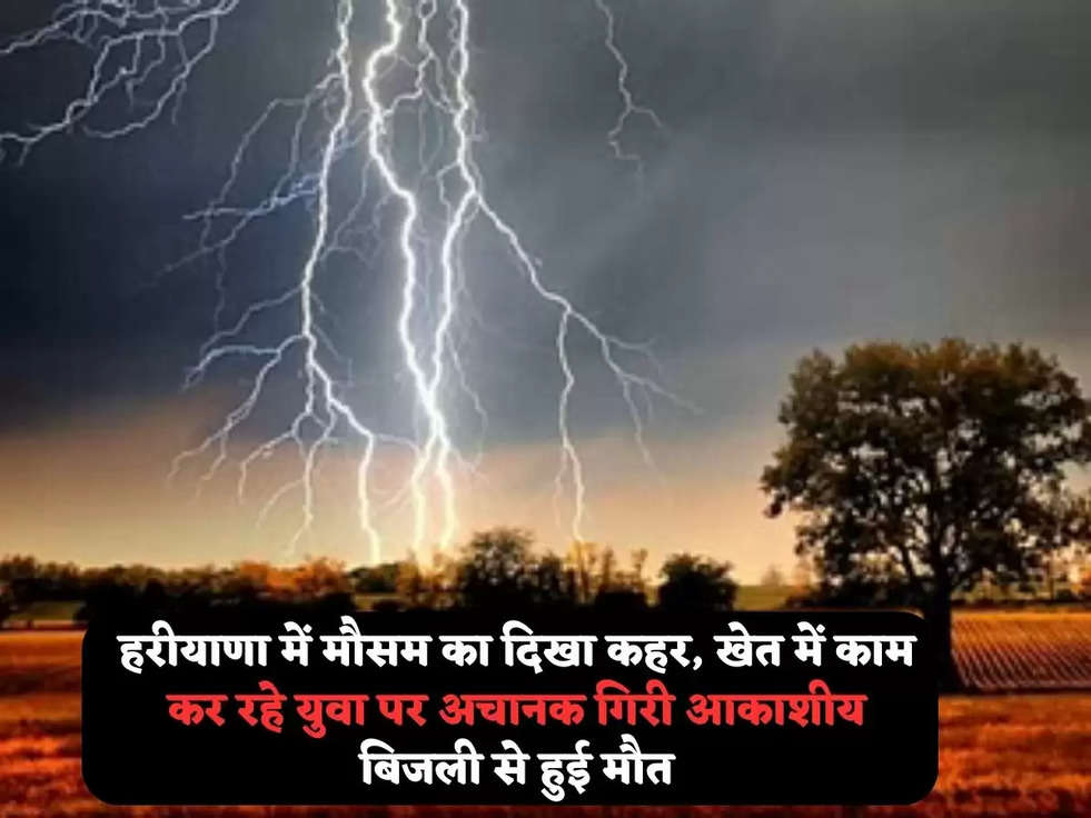 हरीयाणा में मौसम का दिखा कहर, खेत में काम कर रहे युवा पर अचानक गिरी आकाशीय बिजली से हुई मौत