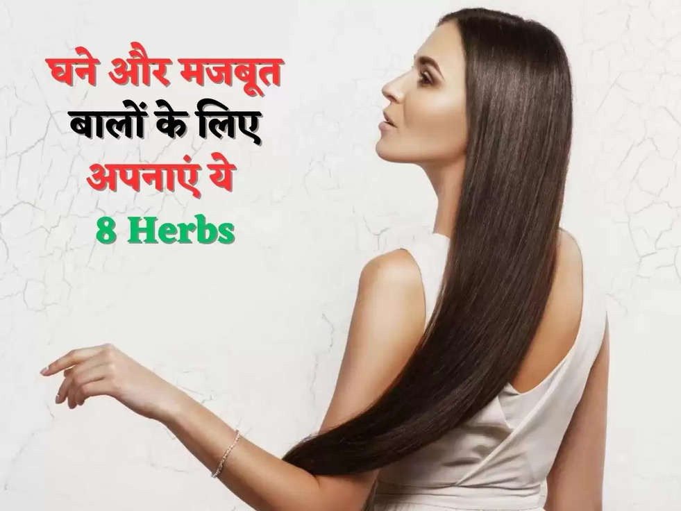 घने और मजबूत बालों के लिए अपनाएं ये 8 Herbs