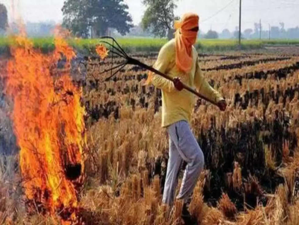 Crop Curb Burn