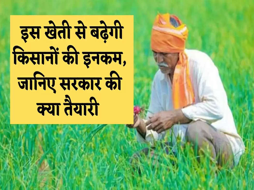 Farming Tips: इस खेती से बढ़ेगी किसानों की इनकम, जानिए सरकार की क्या तैयारी 