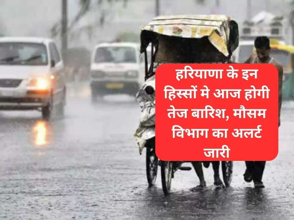 haryana rain alert