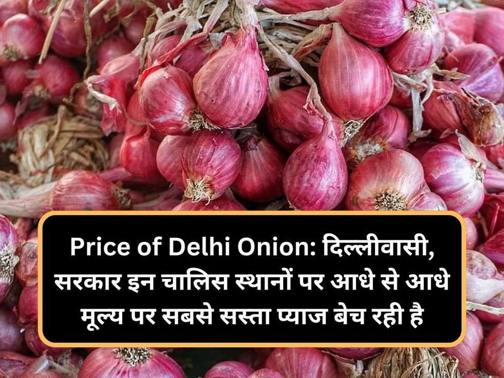 Price of Delhi Onion: दिल्लीवासी, सरकार इन चालिस स्थानों पर आधे से आधे मूल्य पर सबसे सस्ता प्याज बेच रही है