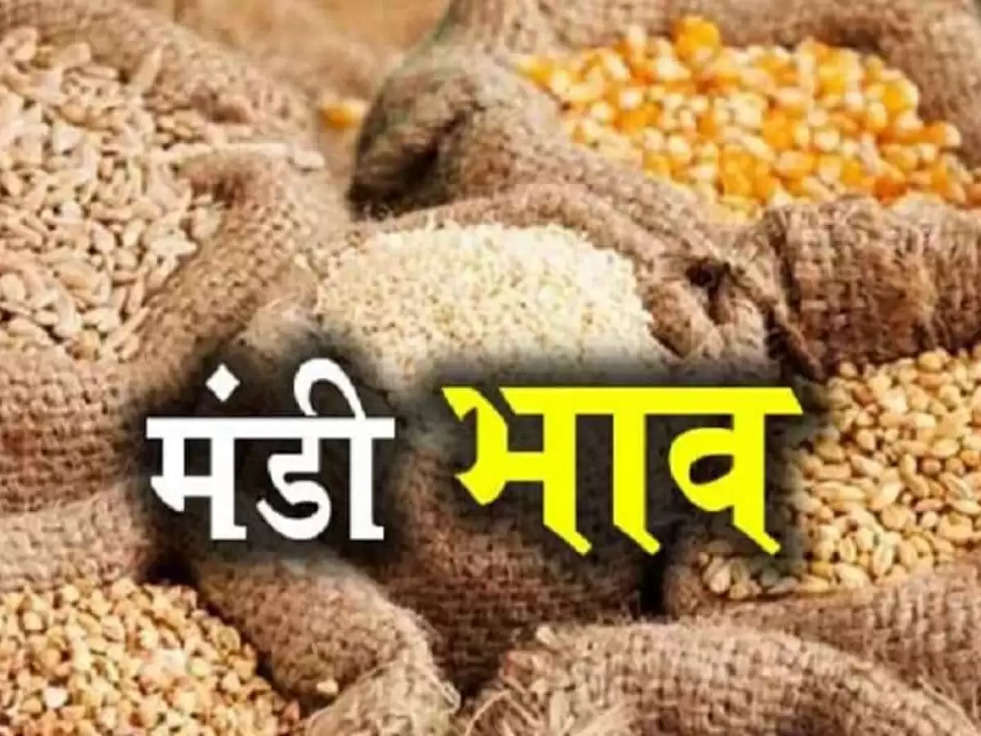 Mandi Rate Today : धान के रेट मे हुआ बदलाव,जाने आज का मंडी भाव