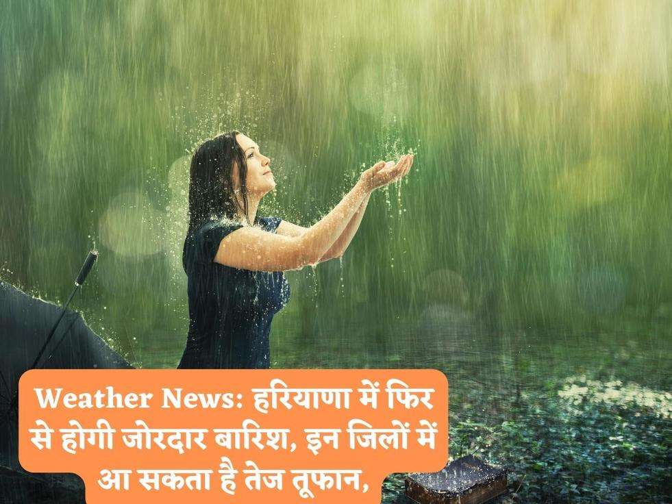 Weather News: हरियाणा में फिर से होगी जोरदार बारिश, इन जिलों में आ सकता है तेज तूफान,