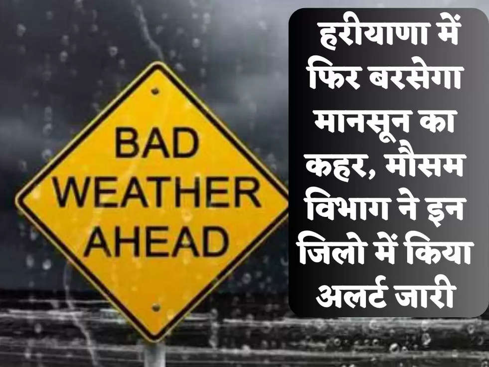  हरीयाणा में फिर बरसेगा मानसून का कहर, मौसम विभाग ने इन जिलो में किया अलर्ट जारी