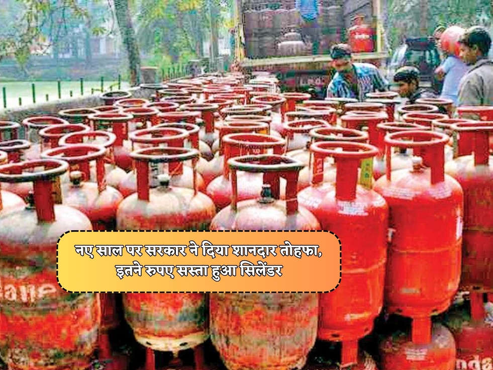 LPG Cylinder Price : नए साल पर सरकार ने दिया शानदार तोहफा, इतने रुपए सस्ता हुआ सिलेंडर 