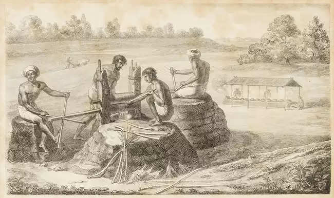 Sugar History India