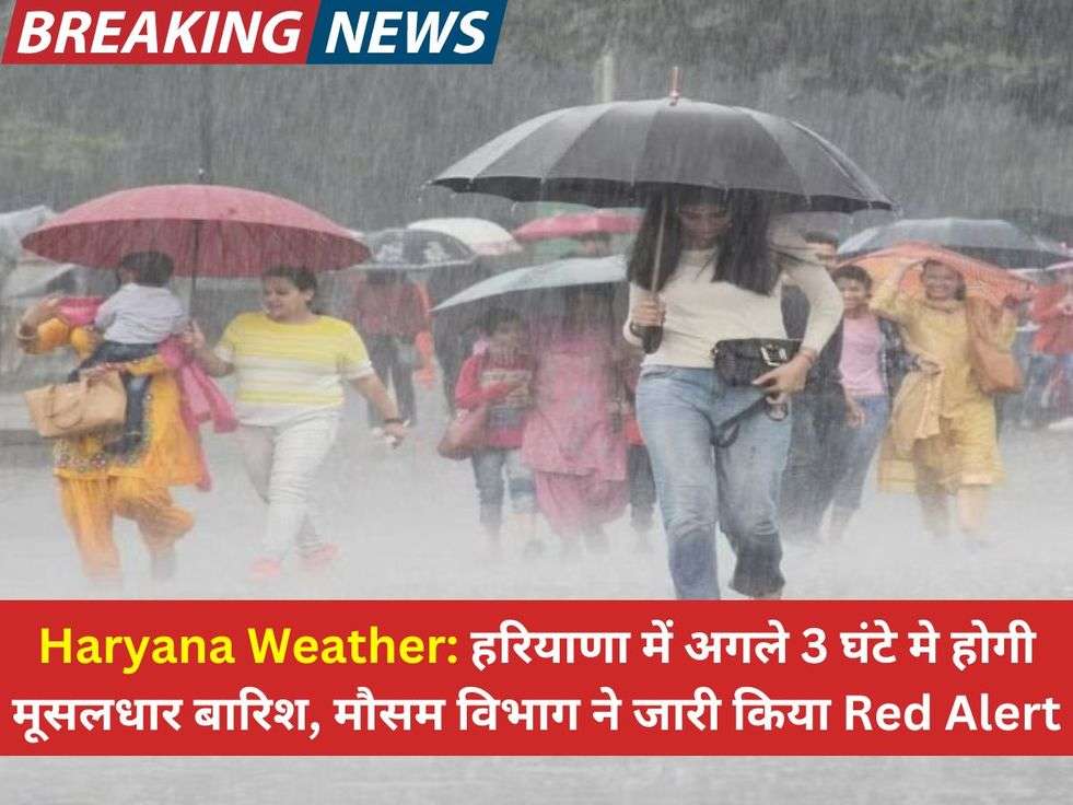 Haryana Weather: हरियाणा में अगले 3 घंटे मे होगी मूसलधार बारिश, मौसम विभाग ने जारी किया Red Alert