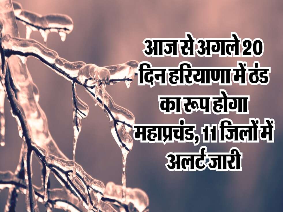 Weather Forecast : आज से अगले 20 दिन हरियाणा में ठंड का रूप होगा महाप्रचंड, 11 जिलों में अलर्ट जारी