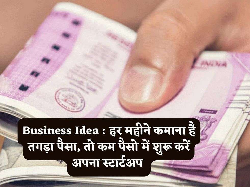 Business Idea : हर महीने कमाना है तगड़ा पैसा, तो कम पैसो में शुरू करें अपना स्टार्टअप 