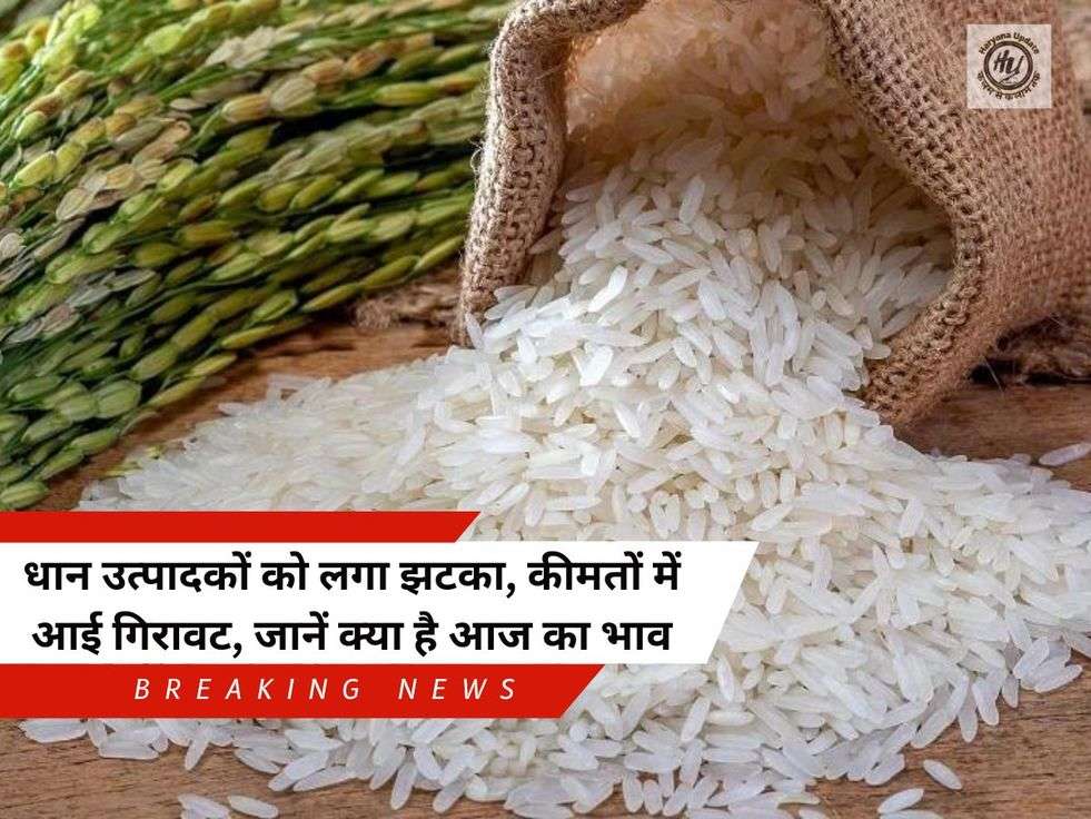 Rice Price