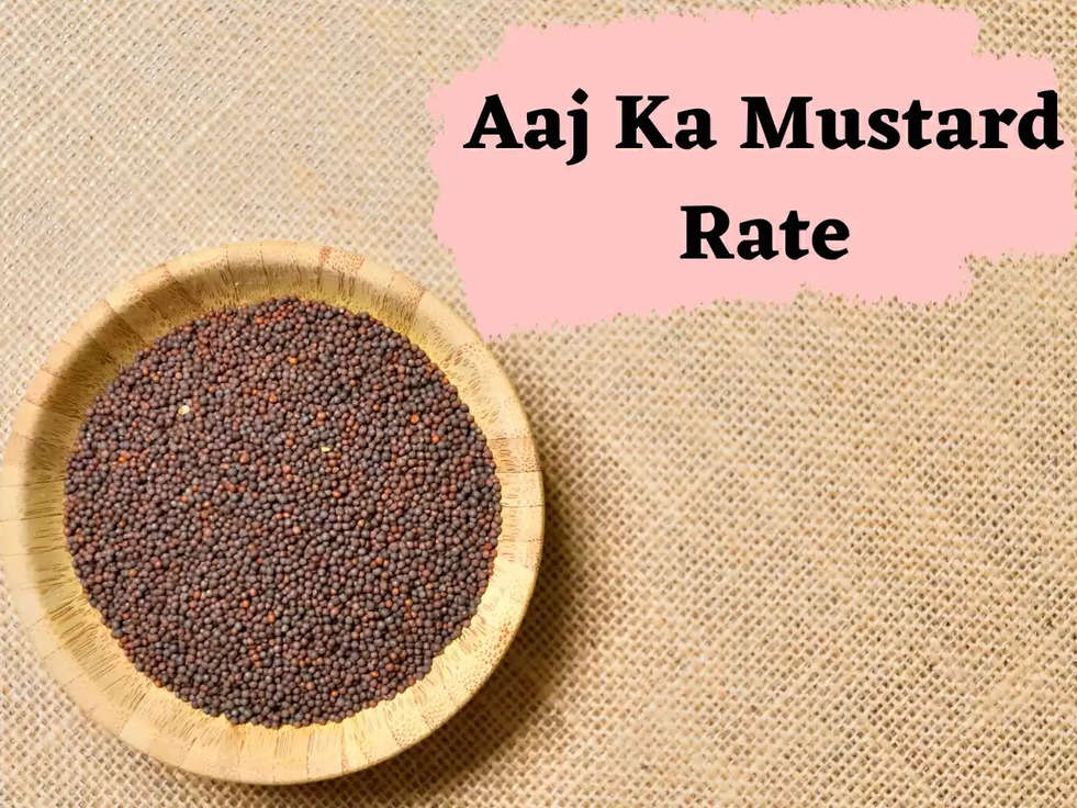 Aaj Ka Mustard Rate: आज का सरसों मंडी भाव, जानिए आज का ताजा भाव 