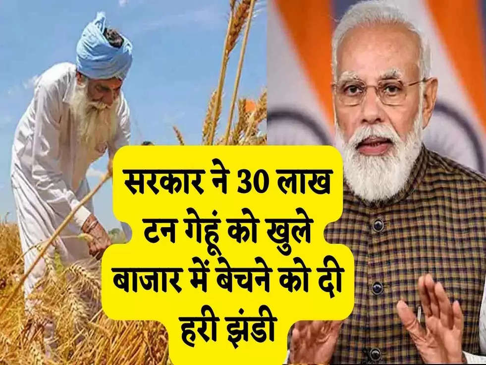 Wheat Price: गेहूं के रेट होंगे जल्द कम, सरकार ने 30 लाख टन गेहूं को खुले बाजार में बेचने को दी हरी झंडी