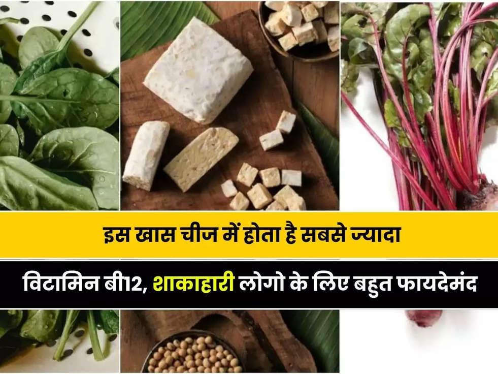 Vitamin B12 Foods for Vegetarians: इस खास चीज में होता है सबसे ज्यादा विटामिन बी12, शाकाहारी लोगो के लिए बहुत फायदेमंद 