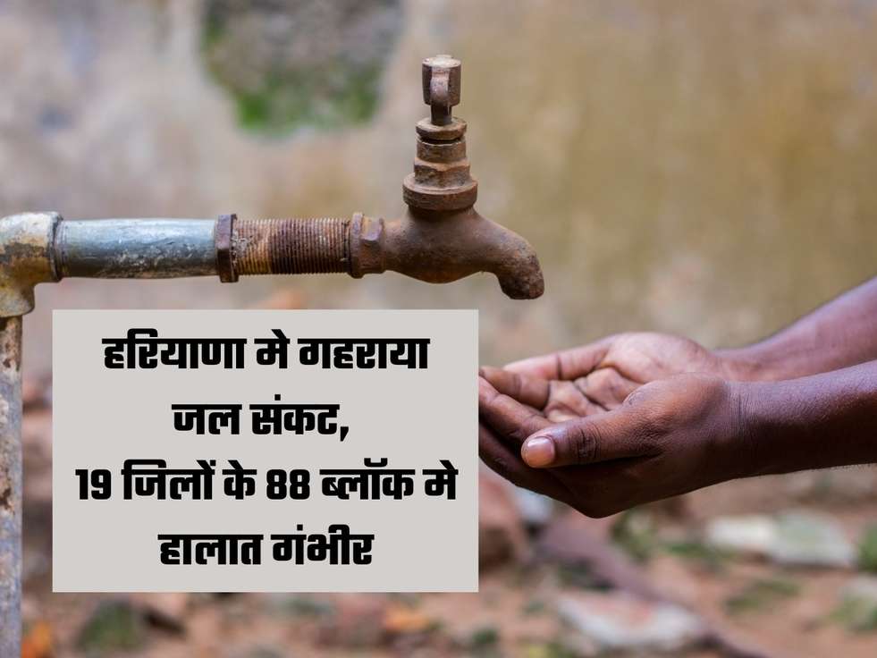 water crisis haryana हरियाणा मे गहराया जल संकट, 19 जिलों के 88 ब्लॉक मे हालात गंभीर