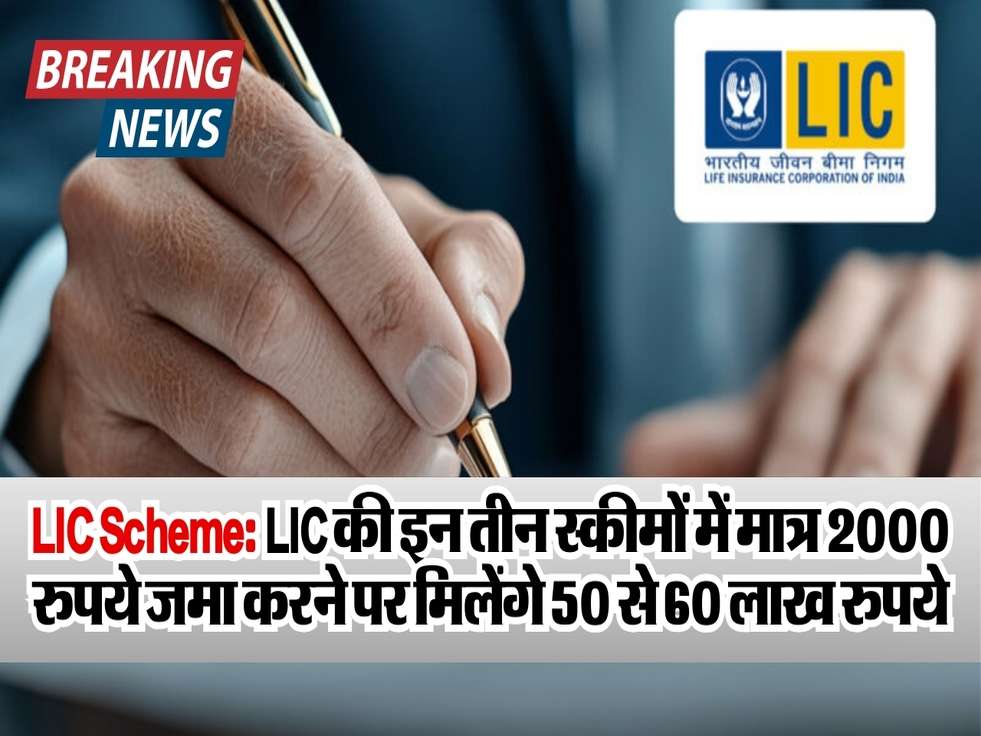 LIC Scheme: LIC की इन तीन स्कीमों में मात्र 2000 रुपये जमा करने पर मिलेंगे 50 से 60 लाख रुपये