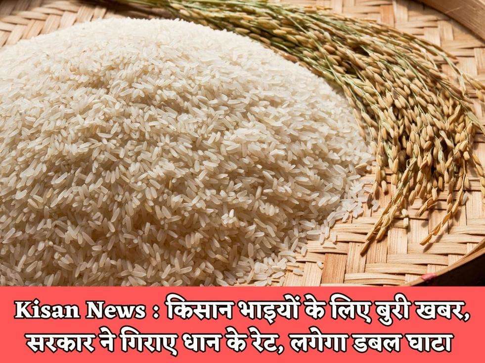 Kisan News : किसान भाइयों के लिए बुरी खबर, सरकार ने गिराए धान के रेट, लगेगा डबल घाटा 