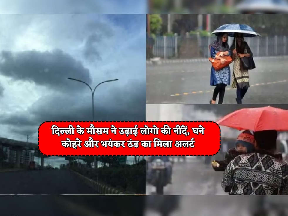 Delhi Weather : दिल्ली के मौसम ने उड़ाई लोगो की नींदें, घने कोहरे और भयंकर ठंड का मिला अलर्ट 