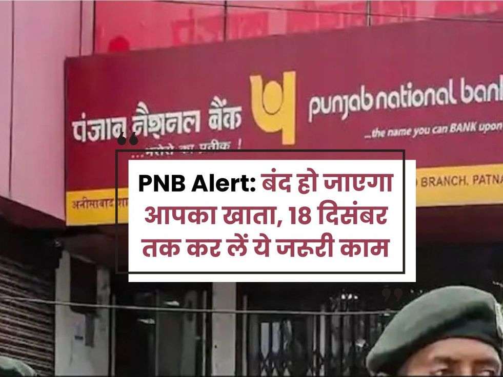 pnb alert