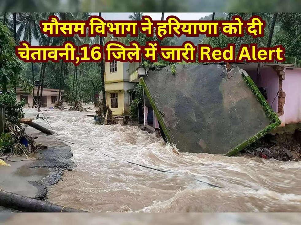  मौसम विभाग ने हरियाणा को दी चेतावनी,16 जिले में जारी Red Alert