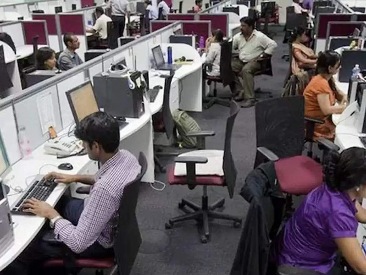 IT Sector Employes