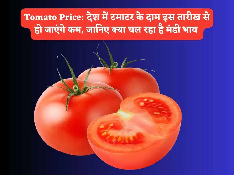 Tomato Price: देश में टमाटर के दाम इस तारीख से हो जाएंगे कम, जानिए क्या चल रहा है मंडी भाव 