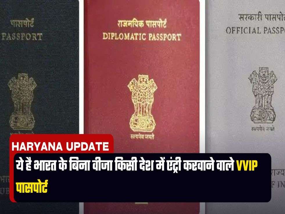 ये है भारत के बिना वीजा किसी देश में एंट्री करवाने वाले VVIP पासपोर्ट 