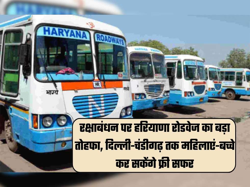 haryana roadways news