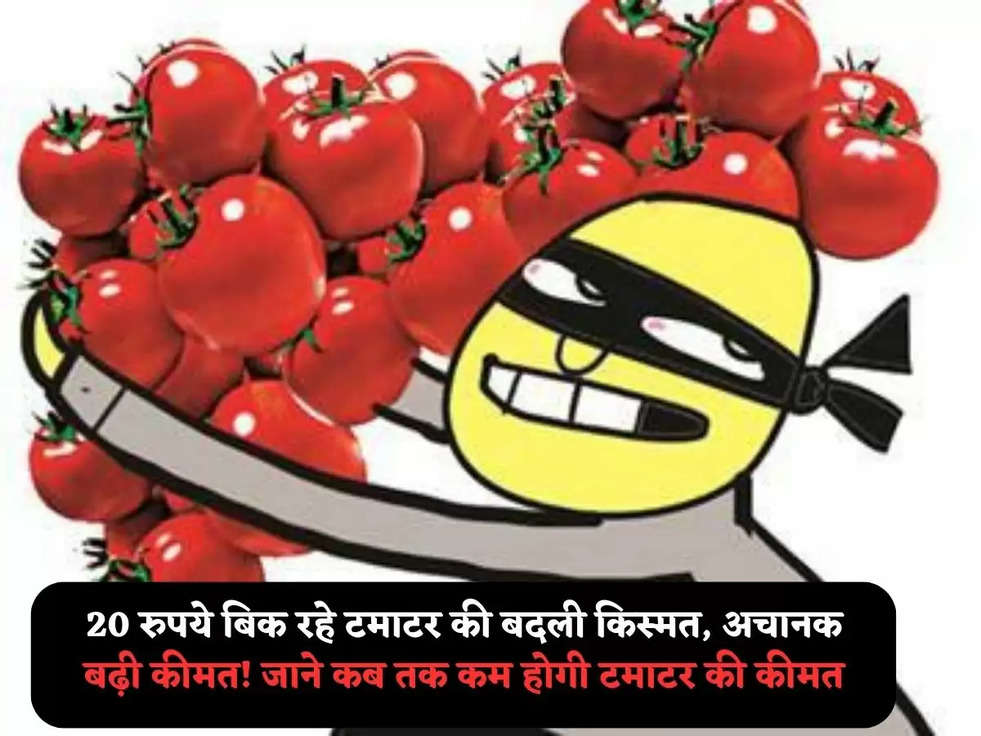 Tomato Price: 20 रुपये बिक रहे टमाटर की बदली किस्मत, अचानक बढ़ी कीमत! जाने कब तक कम होगी टमाटर की कीमत