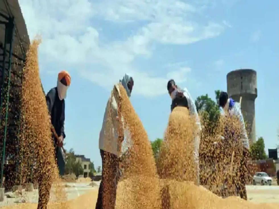 wheat grain market