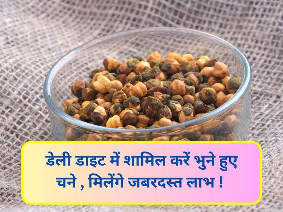 Roasted Gram Benefits: डेली डाइट में शामिल करें भुने हुए चने , मिलेंगे जबरदस्त लाभ ! 