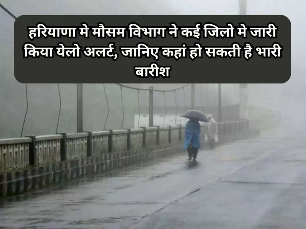 haryana weather update