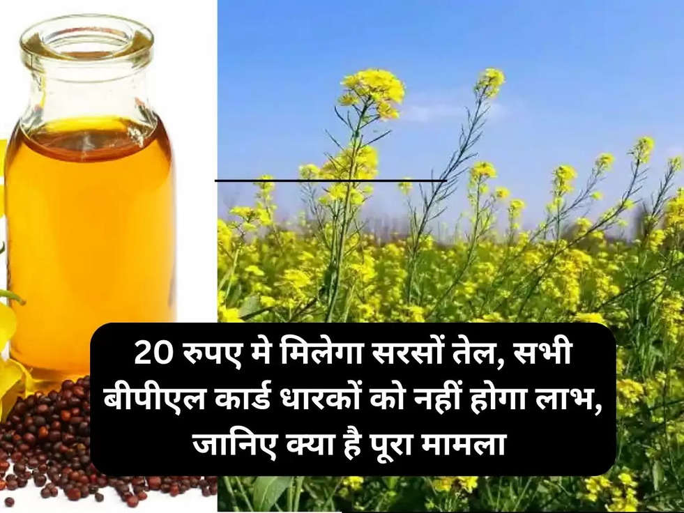 sarso oil