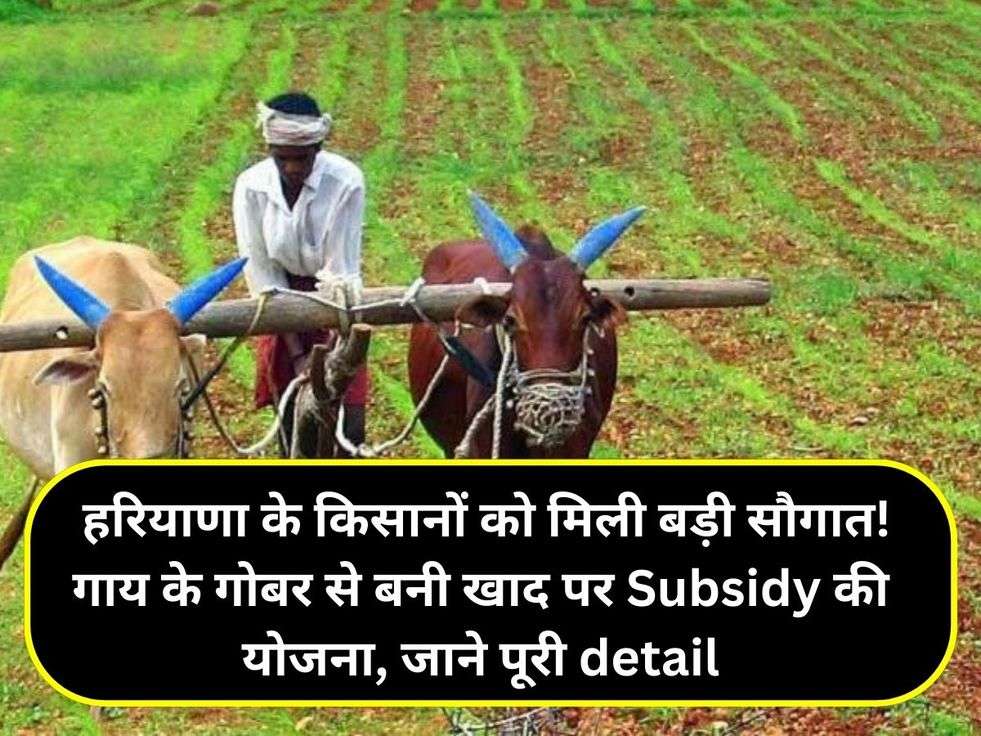 हरियाणा के किसानों को मिली बड़ी सौगात! गाय के गोबर से बनी खाद पर Subsidy की योजना, जाने पूरी detail