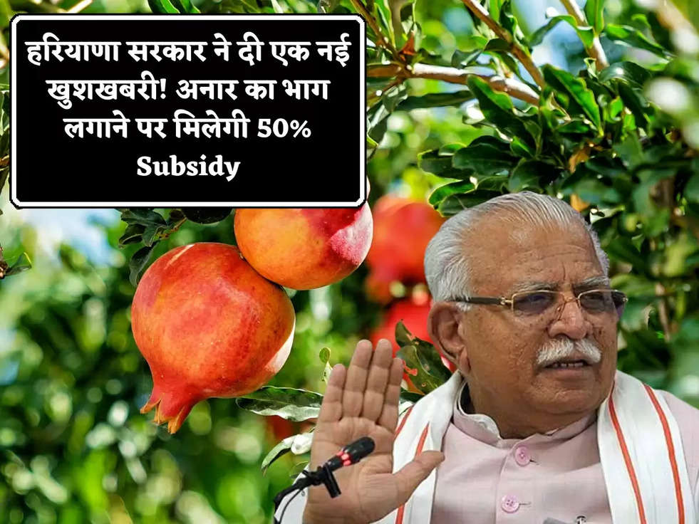 हरियाणा सरकार ने दी एक नई खुशखबरी! अनार का भाग लगाने पर मिलेगी 50% Subsidy