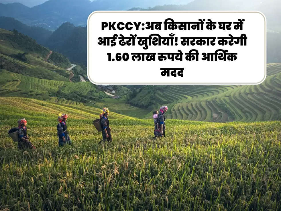 PKCCY:अब किसानों के घर में आई ढेरों खुशियाँ! सरकार करेगी 1.60 लाख रुपये की आर्थिक मदद